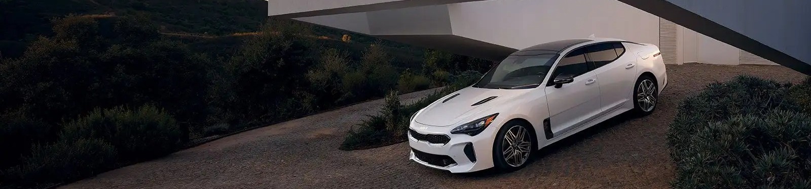 imgi_47_stinger-hero